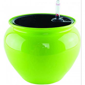 Never Dry Jardiniere Planter LIME 6.5 INCH (Case of 6)