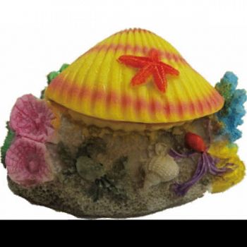 Aerating Reef Clam YELLOW 4X3X3