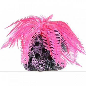 Hairy Soft Coral Aerator PINK 