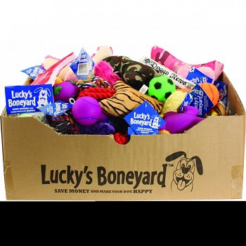 Luckys Boneyard Tear Away Carton Display ASSORTED 60 PIECE