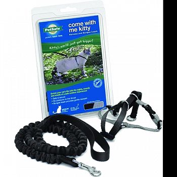 Come With Me Kitty Harness & Bungee Leash BLACK MEDIUM