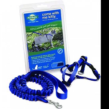 Come With Me Kitty Harness & Bungee Leash ROYAL BLUE MEDIUM