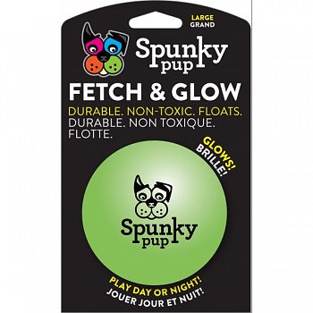 Spunky Pup Fetch & Glow Ball ASSORTED LARGE