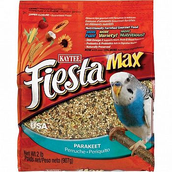 Fiesta Food Parakeet