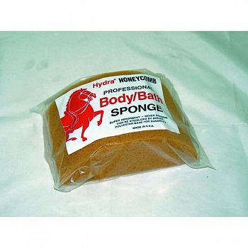 Body Sponge