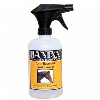 Banixx Wound and Hoof Care for Horses - 16 oz.