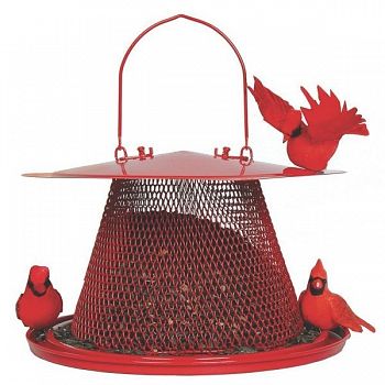 Cardinal No-No BirdFeeder
