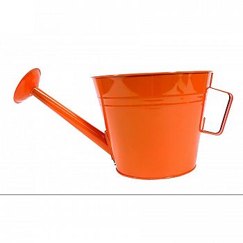 Watercolor Orange Watering Can Planter