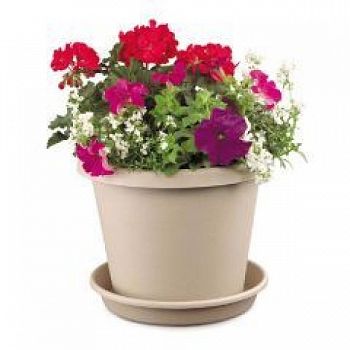 Flower Pot  (Case of 24)