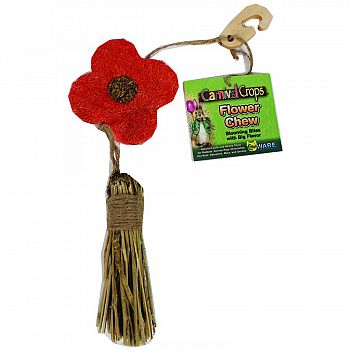 Flower Chew for Small Pets