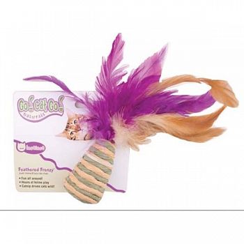 Feathered Frenzy Cone Cat Toy with Feather