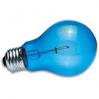 Blue Bulb