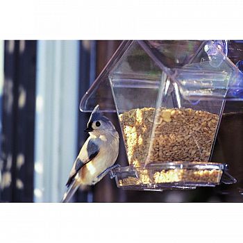 Aspects Window Cafe Bird Feeder - 3/4 qt.