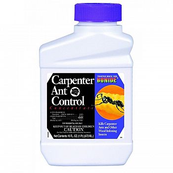 Carpenter Ant Control Concentrate