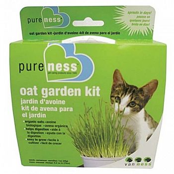 Oat Garden Kit for Cats 