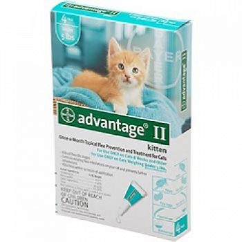 Advantage II Kitten - 4 pack