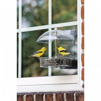 Window Bird Feeder by Droll Yankees