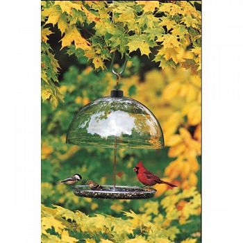 Dorothys Cardinal Bird Feeder - 15 in.