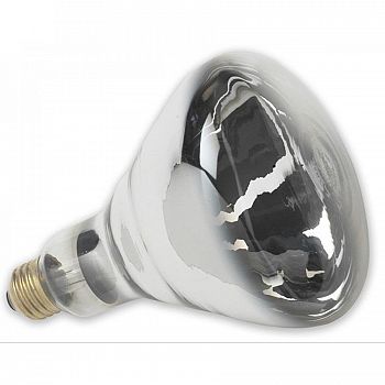 Heat Lamp Bulbs 