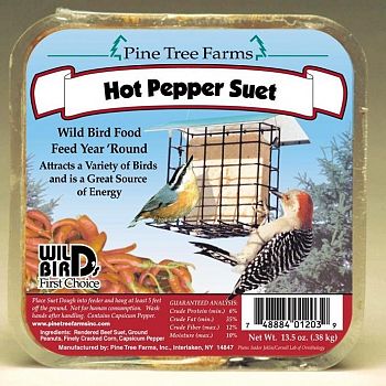 Hot Pepper Suet Cake for Wild Birds - 12 oz.