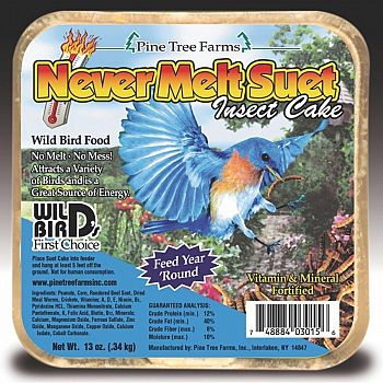 Never Melt Insect Suet Cake  - 13 oz.