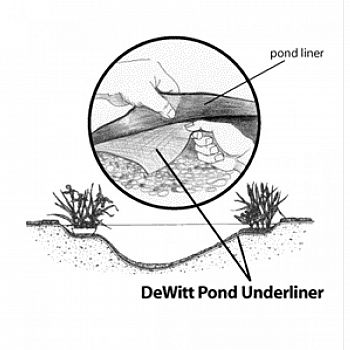 Dewitt Pond Underliner