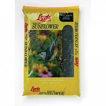 Lyric Black Oil Sunflower Bird Food