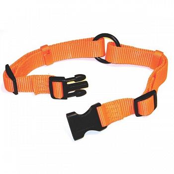 Adjustable Orange Saferite Dog Collar - 1 X 18-26 in.