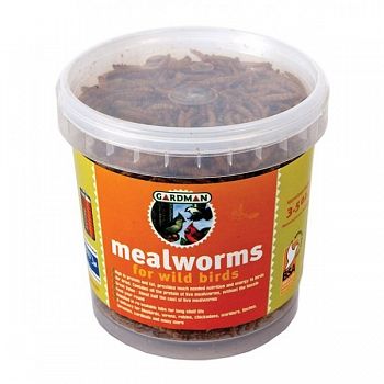Mealworm Tub