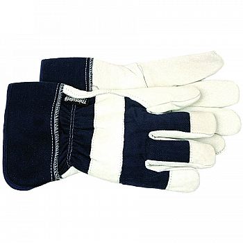 Thinsulate Glove (Case of 12)