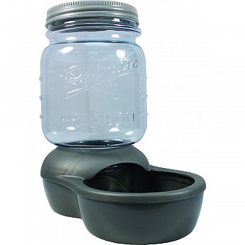 Mason Jar Replendish Dry Food Feeder CLEAR/SILVER 2 POUND