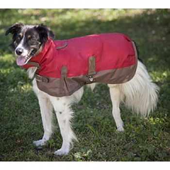 Dog Blanket Coat