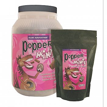 Popper Mints Treat Jar for Horses - 5 lbs