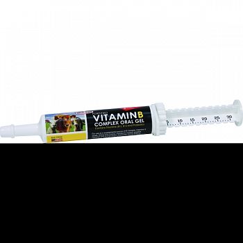 Vitamin B Complex Oral Gel  30 ML/6 DOSE