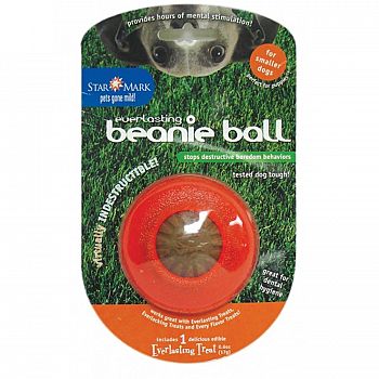 Everlasting Beanie Ball