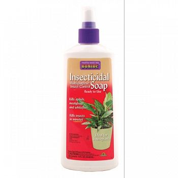 Insecticidal Soap Insect Spray 12 oz