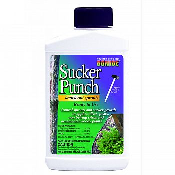 Sucker Punch Ready To Use With Brush Top