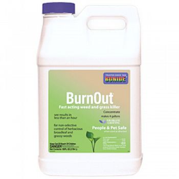 Burnout Weed And Grass Killer Concentrate