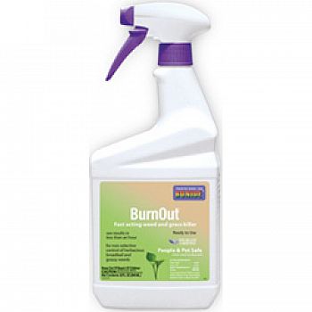 Burnout Weed And Grass Killer Ready To Use