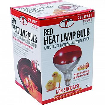 Red Heat Lamp Bulb (Case of 12)