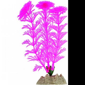 Glofish Plant PINK SMALL
