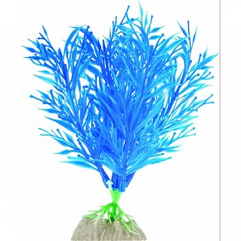 Glofish Plant BLUE MEDIUM