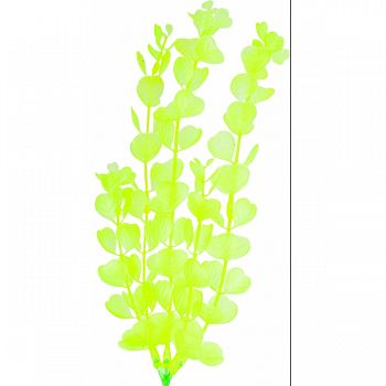 Glofish Plant YELLOW LARGE