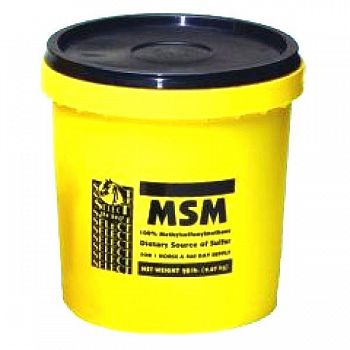 MSM Powder for Horses - 20 lbs