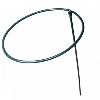 Gather Ring Plant Support - 8 x 36 in.