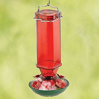 Glass Hummingbird Feeder - 16 oz.