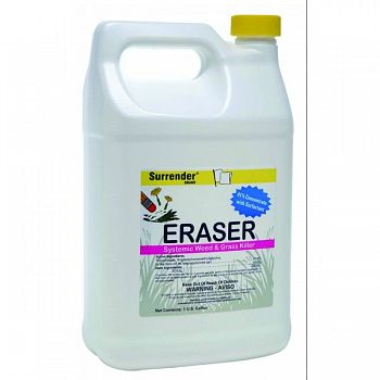 Eraser (Case of 4)
