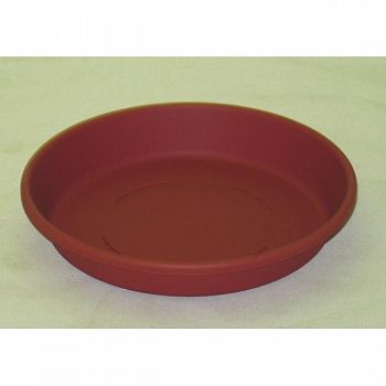 Saucer  (Case of 24)