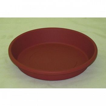 Saucer  (Case of 24)