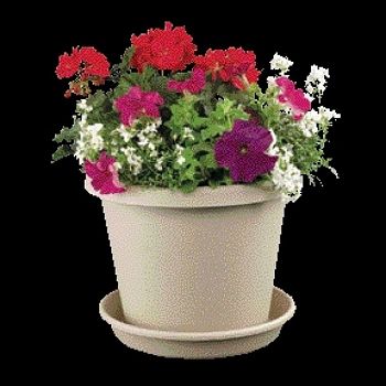 Flower Pot  (Case of 24)